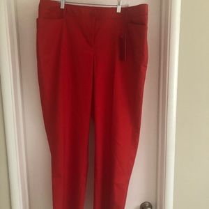 Lane Bryant Pants